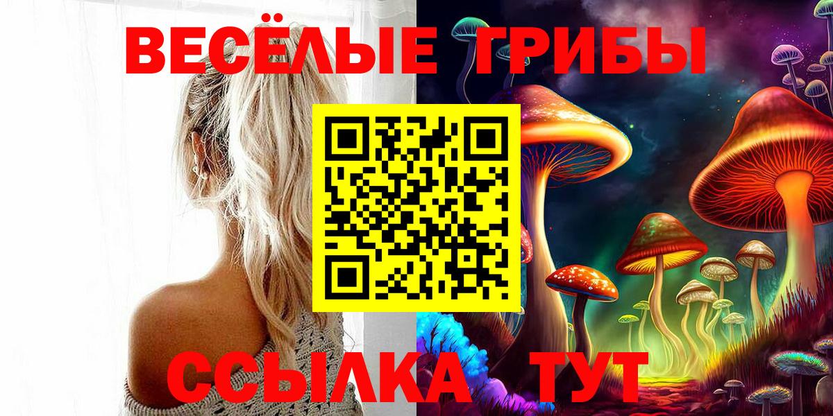 Галлюциногенные грибы Cubensis Чапаевск