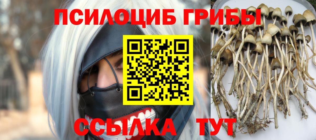 Галлюциногенные грибы MAGIC MUSHROOMS  Вход с VPN  Чапаевск 